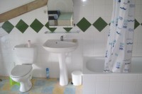 05.jpg