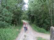 IMG_6370.JPG