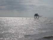 IMG_7403.JPG